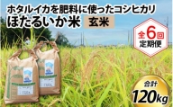 【訳あり】ほたるいか米（玄米20kg）×6回 計120kg【6ヶ月定期便】