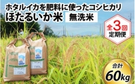 【訳あり】ほたるいか米（無洗米20kg）×3回 計60kg【3ヶ月定期便】