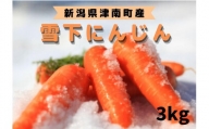 [季節限定]雪国ならではの逸品!津南町の雪下にんじん(3kg)