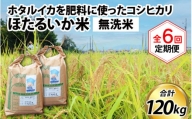 【訳あり】ほたるいか米（無洗米20kg）×6回 計120kg【6ヶ月定期便】