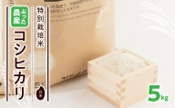 特別栽培米ぶった農産コシヒカリ(白米5kg)【1207813】