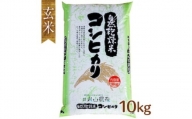 自然型乾燥特栽米コシヒカリ(米山米)玄米10kg×1袋【1364716】
