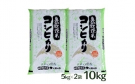 自然型乾燥特栽米コシヒカリ(米山米)精米5kg×2袋【1364721】