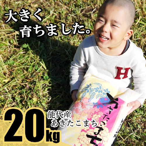 能代産あきたこまち100% 20kg 71745 - 秋田県能代市