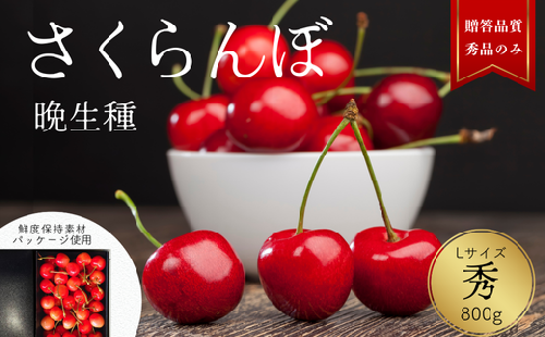 YN04-25A さくらんぼ 晩生種 秀 L玉クラス 約800g 【ハウス栽培】／2025年6月下旬～7月中旬頃 配送予定 // 長野県 南信州 さくらんぼ サクランボ チェリー 紅秀峰 山形美人 ナポレオン 紅てまり ハウス 栽培 約1㎏