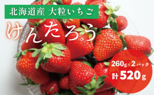【期間限定】おがファームの道産子大粒いちご「けんたろう」520g　D068