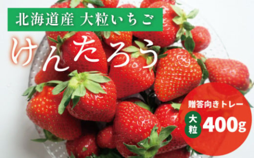 【100組限定】おがファームの道産子大粒いちご「けんたろう」400g　E026
