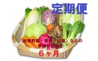 【6ヶ月定期便】能代の恵み「地場野菜・果物・山菜」などの季節の詰合せ