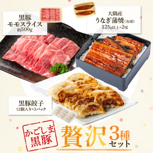 鹿児島県大隅産うなぎ２尾・黒豚モモスライス・黒豚餃子セット