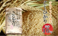 [№5528-0015]【令和4年度産】手取りのすず風米こしひかり 玄米 10kg