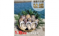 面倒な殻剥きなし！すぐに調理できます E-2　能登穴水の牡蠣(ムキ身)1.8kg