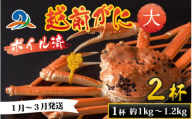 【先行予約】越前港より直送！ 越前がに 大 (約1kg～1.2kg) 2杯 【1月～3月発送予定】