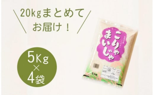 【復興支援】5kgを4袋 まとめてお届け！こりゃまいじゃ精米(奥能登柳田地区限定コシヒカリ）