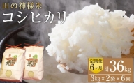 【復興支援】【定期便】田の神様米(コシヒカリ)3kg×2袋×6ヶ月