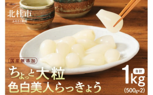 ちょっと大粒　色白美人らっきょう　国産無添加　１kg 719337 - 山梨県北杜市