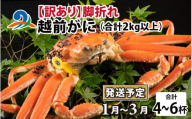 【先行予約】【訳あり】越前がに 4～6杯 （合計2kg以上） 脚折れ【2025年1月～3月発送予定】