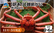 【先行予約】【訳あり】 越前がに 合計2kg以上（3～6杯）【11月～3月発送】