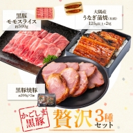 鹿児島県大隅産うなぎ２尾・黒豚モモスライス・黒豚焼豚２個セット