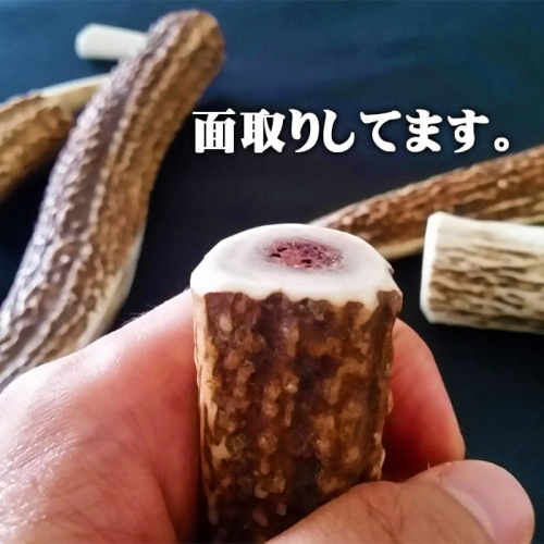 えぞ鹿カット角【約10cm×3本】※トリーツ