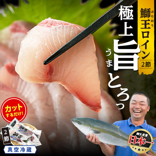 【切って盛るだけ】『旅サラダ』で紹介ぶりの王様「 鰤王 」 ロイン 2節 (約0.8kg～1.0kg) 半身 産地直送 新鮮 旨味が抜群の 長島町 特産品 ブランド ぶり 鰤 ブリ 切り身 真空 冷蔵 刺身 ぶりしゃぶ しゃぶしゃぶ 魚 魚介 人気 ランキング 【JFA】jfa-7132 72169 - 鹿児島県長島町