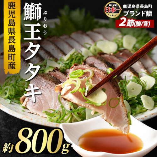 ぶりの王様「 鰤王 」 タタキ (約0.8kg・2節) 産地直送 おつまみ にも最適 旨味が抜群の 長島町 特産品 ブランド ぶり 鰤 ブリ 切り身 真空 冷凍 刺身 魚 魚介 人気 ランキング 【JFA】jfa-1220 72170 - 鹿児島県長島町