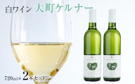 酒 ワイン 白ワイン セット ２本 × 720ml 長野県産
