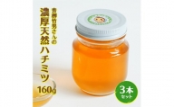 青栁竹男さんの濃厚天然ハチミツ　160g×3本セット