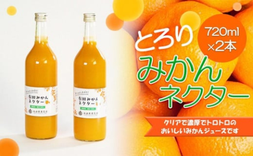 とろり　みかんネクター720ml×2本［IKE225］