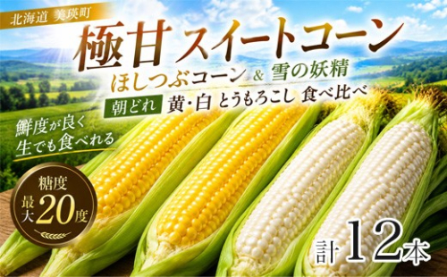 【先行予約】とうもろこし（ほしつぶコーン & 雪の妖精）各6本 計12本 <令和8年産 >黒木農場 |  北海道とうもろこし スイートコーン イエローコーン ホワイトコーン 糖度 甘い  朝どれ 朝採れ とうきび 新鮮 旬 野菜 夏野菜 美瑛産 北海道 とうもろこし北海道 令和8年発送 [011-58]