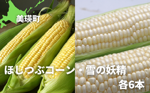 【令和７年産予約受付！】黒木農場　とうもろこし（ほしつぶコーン＆雪の妖精）各6本[014-78]