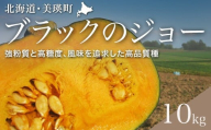 【先行予約】かぼちゃ <令和7年産 >黒木農場 南瓜（ブラックのジョー）|  人気 おすすめ ランキング 旬 かぼちゃ 南瓜 カボチャ 新鮮 鮮度抜群 野菜 ベジタブル おいしい 健康[013-64]