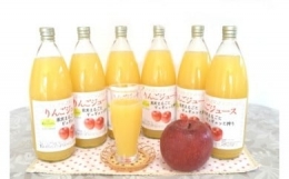 【ふるさと納税】003-012 ＜ ジュース ＞ 果汁100％ りんごジュース