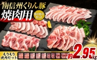 6-Y05　南信州くりん豚もりもり焼肉セット