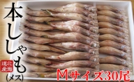 北海道産 ししゃも【メス】M30尾セット 魚介類 ししゃも 魚 海鮮 海の幸 北海道 日高 本ししゃも Mサイズ メス