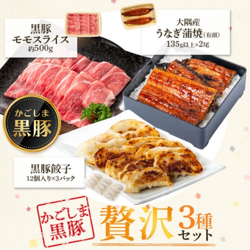 鹿児島県大隅産うなぎ２尾・黒豚モモスライス・黒豚餃子セット