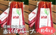 【先行受付】富士見町の赤いルバーブ約4kg（500g×8袋） 2024年5月末より順次発送
