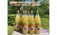 片桐農園 100%サンふじりんごのストレートジュース　６本セット