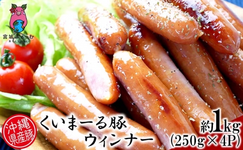 沖縄県産豚肉　ウィンナー　約1kg（250g×4P） 725221 - 沖縄県沖縄市