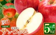 【2024年 令和6年度発送 先行予約】安曇野の サンつがる 約 4.5kg ～ 5kg ｜ リンゴ りんご 林檎 果物 くだもの フルーツ 果実 果汁サンつがる さんつがる 家庭用 わけあり 訳アリ 長野県 松川村