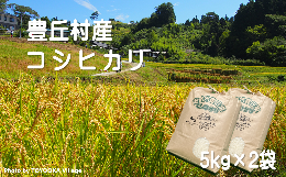 【ふるさと納税】A-70 豊丘のお米！コシヒカリ計10kg（5kg×2）