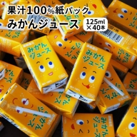 果汁100％紙パックみかんジュース125ml×40本
