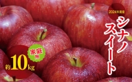 2024年度産 シナノスイート家庭用 約 10kg ｜ リンゴ りんご 林檎 果物 フルーツ 果実 果汁 シナノスイート しなのすいーと 家庭用 わけあり 訳アリ 長野県 松川村