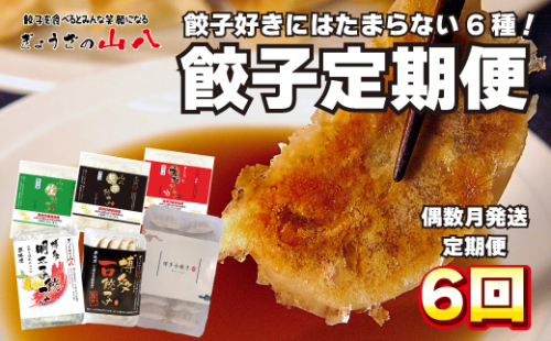 ぎょうざの山八★餃子定期便（年6回偶数月）【随時開始】[F7002] 72678 - 福岡県福津市