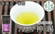 茶師が丁寧に仕立てた最高級煎茶 「神賜-しんし-」80g 茶蔵園 日本茶 緑茶 煎茶 茶葉 お茶 一番茶 春摘み 8000円
