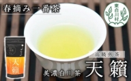 香り高い高級煎茶 「天籟-てんらい-」 80g 茶蔵園 日本茶 緑茶 煎茶 お茶 一番茶 春摘み 浅煎り 6000円