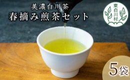 【ふるさと納税】茶蔵園 春摘み煎茶セット (5袋入) お茶 日本茶 緑茶 煎茶 一番茶 高級 特上 特選 詰め合わせ