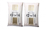 味のいび米ハツシモ20kg(10kg×2袋)