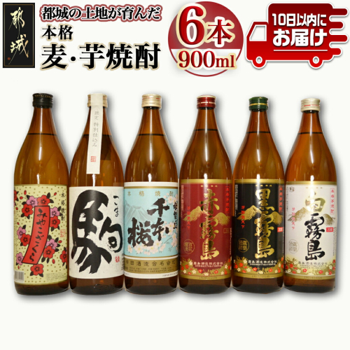 都城の土地が育んだ本格 麦・芋焼酎 ≪みやこんじょ特急便≫_19-3501 72901 - 宮崎県都城市