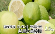 国産檸檬（レモン）発祥の地　広島大長檸檬　2.5kg