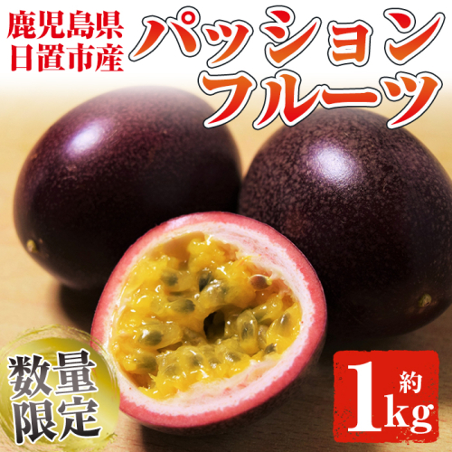 No.503 ＜数量・期間限定＞鹿児島県日置市産！パッションフルーツ(約1kg) 【はまうえ果樹園】 72969 - 鹿児島県日置市